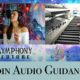 Soin Audio Guidance